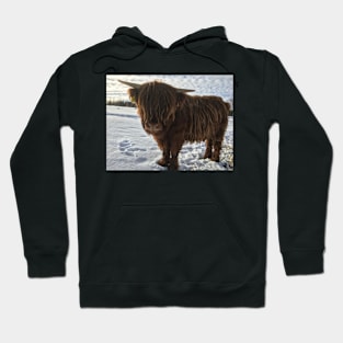 Scottish Highland Cattle Calf 1942 Hoodie